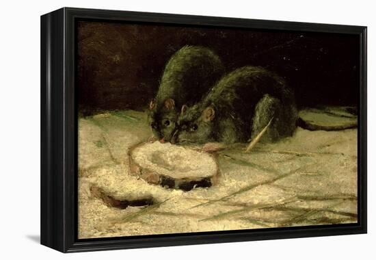 Two Rats, C.1884-Vincent van Gogh-Framed Premier Image Canvas