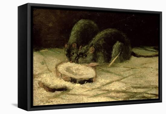 Two Rats, C.1884-Vincent van Gogh-Framed Premier Image Canvas