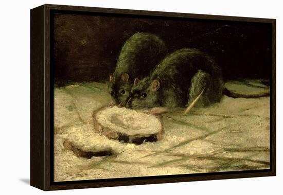 Two Rats, C.1884-Vincent van Gogh-Framed Premier Image Canvas