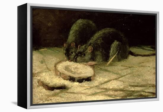 Two Rats, C.1884-Vincent van Gogh-Framed Premier Image Canvas