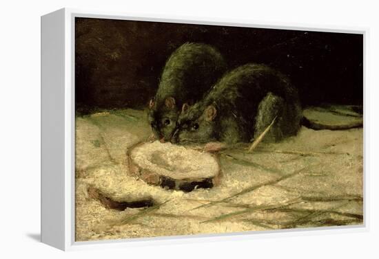 Two Rats, C.1884-Vincent van Gogh-Framed Premier Image Canvas