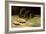 Two Rats, C.1884-Vincent van Gogh-Framed Giclee Print