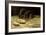 Two Rats, C.1884-Vincent van Gogh-Framed Giclee Print