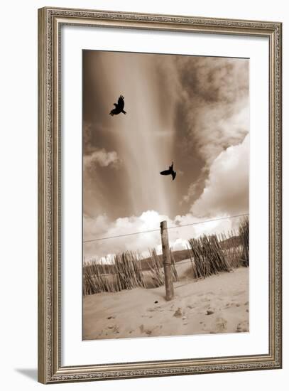 Two Raves Flying over the Dunes in Sepia Tones-Alaya Gadeh-Framed Photographic Print