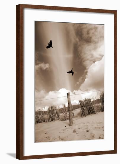 Two Raves Flying over the Dunes in Sepia Tones-Alaya Gadeh-Framed Photographic Print