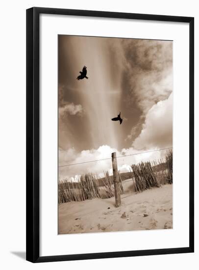 Two Raves Flying over the Dunes in Sepia Tones-Alaya Gadeh-Framed Photographic Print