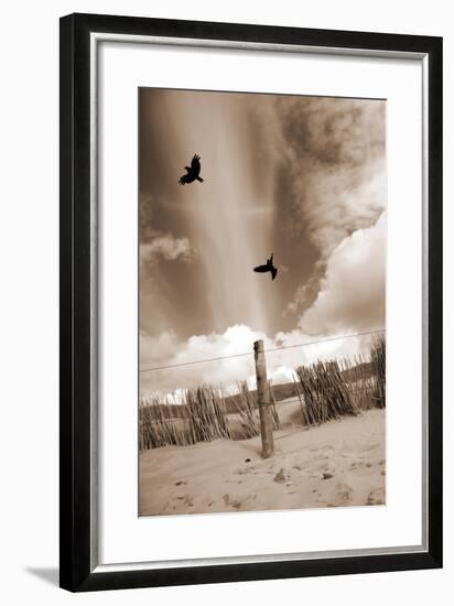 Two Raves Flying over the Dunes in Sepia Tones-Alaya Gadeh-Framed Photographic Print