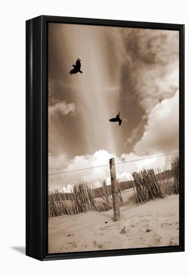 Two Raves Flying over the Dunes in Sepia Tones-Alaya Gadeh-Framed Premier Image Canvas