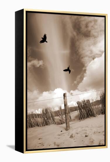 Two Raves Flying over the Dunes in Sepia Tones-Alaya Gadeh-Framed Premier Image Canvas