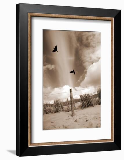 Two Raves Flying over the Dunes in Sepia Tones-Alaya Gadeh-Framed Photographic Print