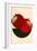 Two Red Apples-Kubistika-Framed Giclee Print
