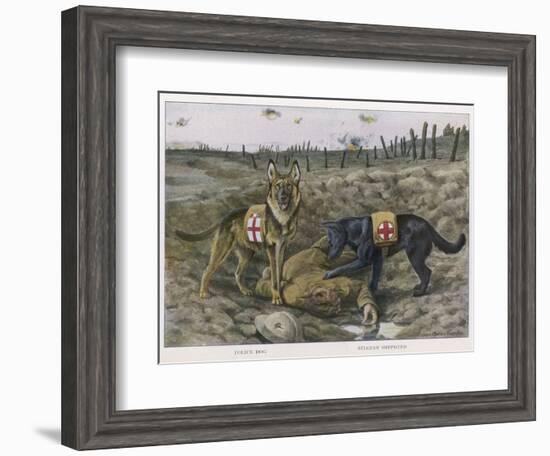 Two Red Cross Rescue Dogs a German Shepherd-Louis Agassiz Fuertes-Framed Photographic Print