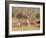 Two Red Kangaroos, Macropus Rufus, Mootwingee National Park, New South Wales, Australia, Pacific-Ann & Steve Toon-Framed Photographic Print