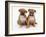 Two Red Staffordshire Bull Terrier Puppies, 6 Weeks Old, Sitting Together-Jane Burton-Framed Photographic Print