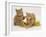 Two Red Tabby Kittens with Gold Christmas Tinsel-Jane Burton-Framed Photographic Print