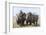 Two Rhinoceros, Ol Pejeta Conservancy, Laikipia, Kenya, East Africa, Africa-Ann and Steve Toon-Framed Photographic Print