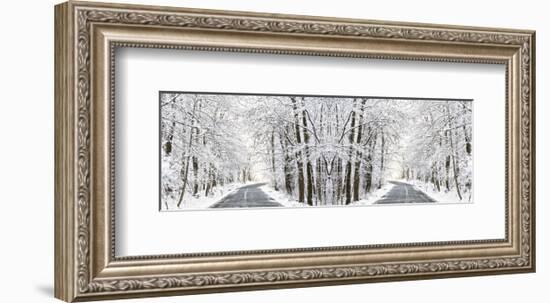 Two Roads Diverged in a Snowy Wood-Erin Clark-Framed Art Print