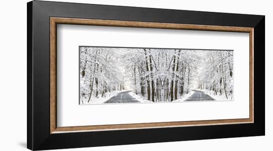 Two Roads Diverged in a Snowy Wood-Erin Clark-Framed Art Print