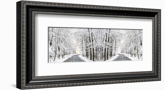 Two Roads Diverged in a Snowy Wood-Erin Clark-Framed Art Print