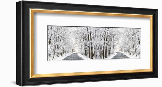 Two Roads Diverged in a Snowy Wood-Erin Clark-Framed Art Print