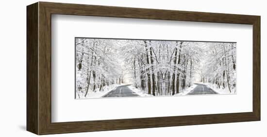 Two Roads Diverged in a Snowy Wood-Erin Clark-Framed Art Print