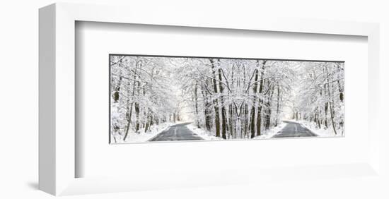 Two Roads Diverged in a Snowy Wood-Erin Clark-Framed Art Print