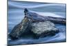 Two Rocks And Long Swirling Water-Anthony Paladino-Mounted Giclee Print