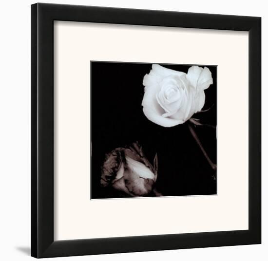Two Roses-Angelos Zimaras-Framed Art Print