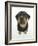 Two Rottweiler Pup, 8 Weeks Old, Sitting Down and Looking Up-Jane Burton-Framed Photographic Print