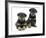 Two Rottweiler Pups, 8 Weeks Old-Jane Burton-Framed Photographic Print