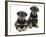 Two Rottweiler Pups, 8 Weeks Old-Jane Burton-Framed Photographic Print