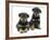 Two Rottweiler Pups, 8 Weeks Old-Jane Burton-Framed Photographic Print