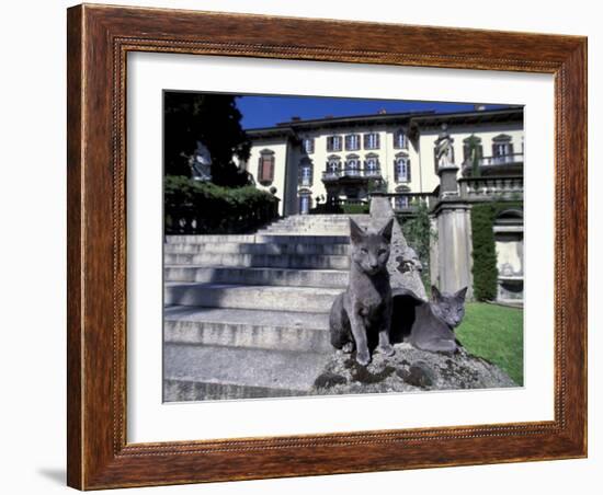 Two Russian Blue Cats Sunning on Garden Stone Steps, Italy-Adriano Bacchella-Framed Photographic Print