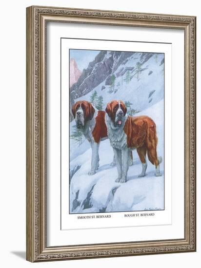 Two Saint Bernards-Louis Agassiz Fuertes-Framed Art Print