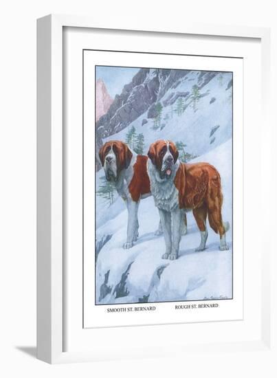 Two Saint Bernards-Louis Agassiz Fuertes-Framed Art Print