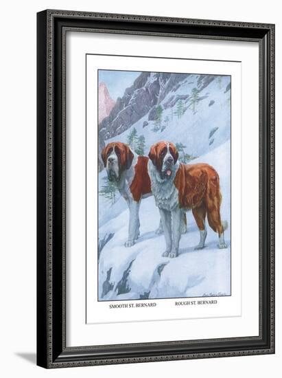 Two Saint Bernards-Louis Agassiz Fuertes-Framed Art Print