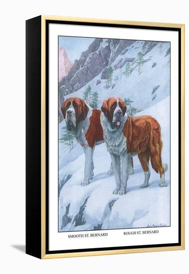 Two Saint Bernards-Louis Agassiz Fuertes-Framed Stretched Canvas