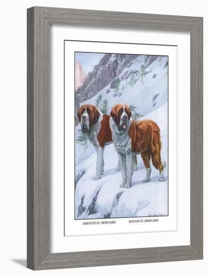 Two Saint Bernards-Louis Agassiz Fuertes-Framed Art Print