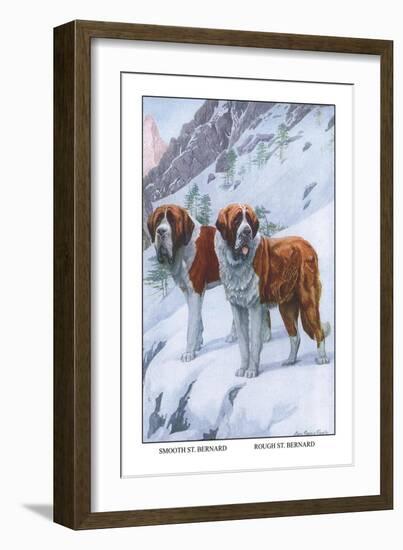 Two Saint Bernards-Louis Agassiz Fuertes-Framed Art Print