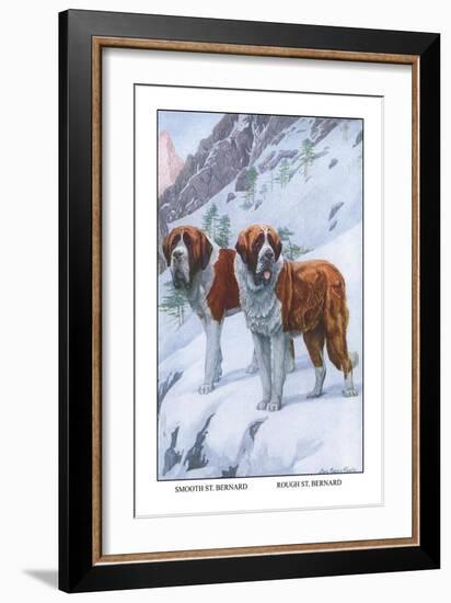 Two Saint Bernards-Louis Agassiz Fuertes-Framed Art Print