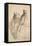 Two Saltimbanques  (Deux Saltimbanques) Dessin De Honore Daumier (1808-1879) Vers 1865 Dim 24,1X15-Honore Daumier-Framed Premier Image Canvas