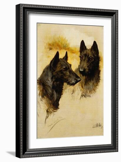 Two Scottish Terriers (Oil on Canvas)-Arthur Wardle-Framed Giclee Print
