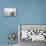 Two Seagulls & Boats-Moises Levy-Photographic Print displayed on a wall