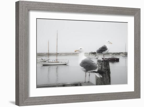 Two Seagulls & Boats-Moises Levy-Framed Photographic Print