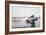 Two Seagulls & Boats-Moises Levy-Framed Photographic Print