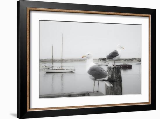 Two Seagulls & Boats-Moises Levy-Framed Photographic Print