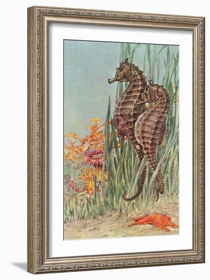 Two Seahorses-null-Framed Art Print