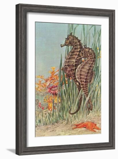 Two Seahorses-null-Framed Art Print