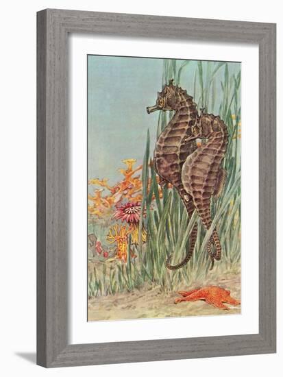 Two Seahorses-null-Framed Art Print