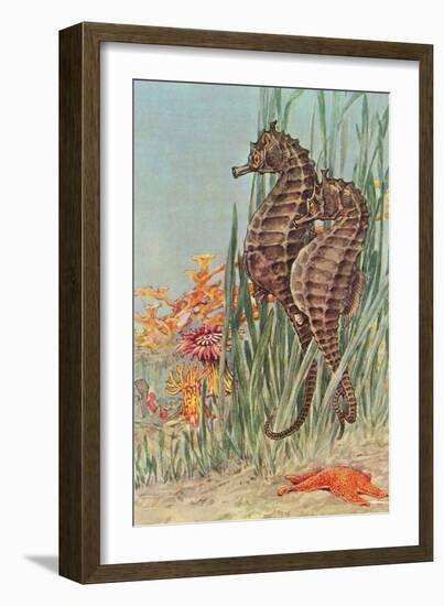 Two Seahorses-null-Framed Art Print